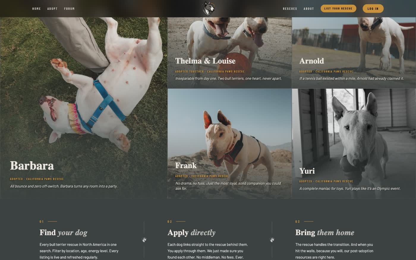 Past adoptions grid on Bull Terrier Rescue Network showing named rescued dogs